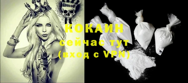 дмт Богородицк