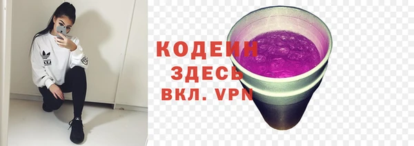 дмт Богородицк