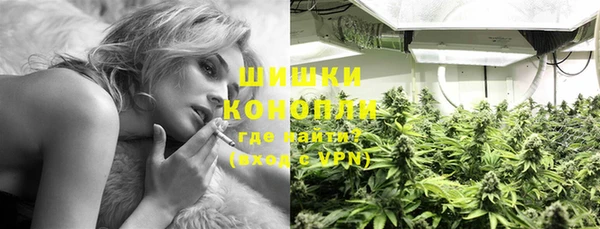 соль курить ск Богданович